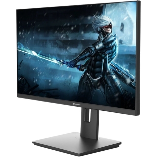 GameBooster GB-2526FF Monitör