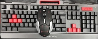 Raynox PRO-K1100 Klavye & Mouse Seti