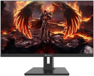 GameBooster GB-2419FF Monitör