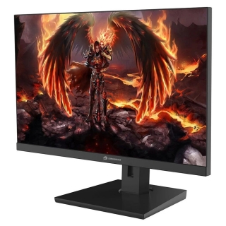 GameBooster GB-2419FF Monitör