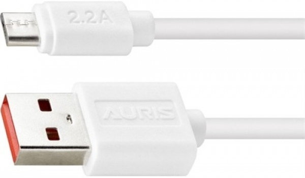 Auris ARS-CB13 Şarj Kablosu