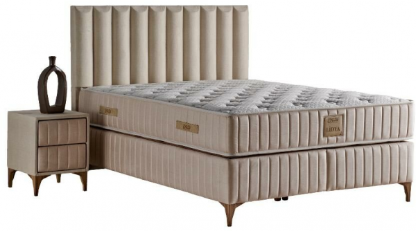 Mobilya Dükkanım Lidya 120x200 Baza+Başlık+Yatak Seti