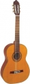 Valencia CG190 resim