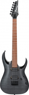 Ibanez RGA42FM Elektro Gitar