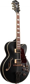 Ibanez AF75G Elektro Gitar