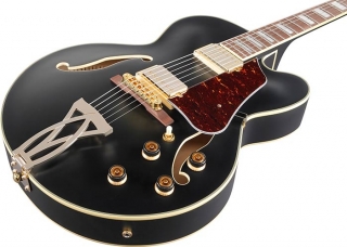 Ibanez AF75G Elektro Gitar