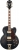Ibanez AF75G Elektro Gitar