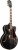 Ibanez AF75G Elektro Gitar