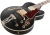 Ibanez AF75G Elektro Gitar