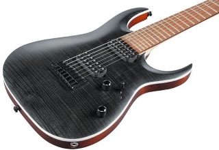 Ibanez RGA742FM Elektro Gitar