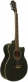 Segovia SGA40 resim