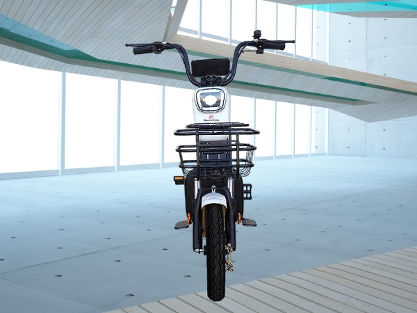 MotoLux Motolux F7 Moped