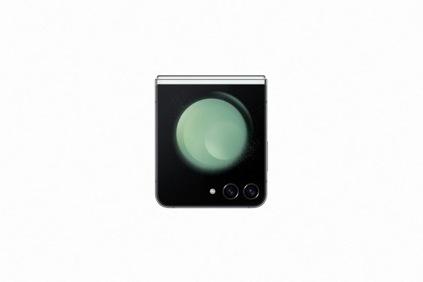 Samsung Galaxy Z Flip 5 (256 GB)