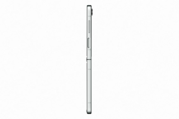 Samsung Galaxy Z Flip 5 (256 GB)
