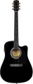 Squier SA-105CE resim
