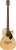 Fender CB-60SCE Akustik Bas Gitar