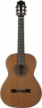 Martinez MC-20C resim