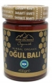 Nurbal Şifa Organik Oğul Balı 450 gr resim
