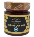 Nurbal Şifa Organik Çam Balı 300 gr resim