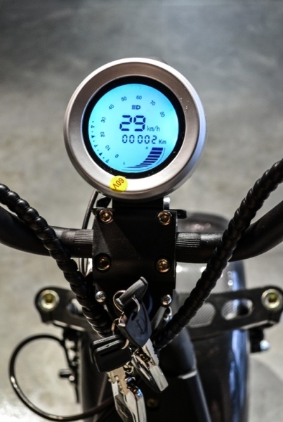 Citycoco V2 Family Scooter