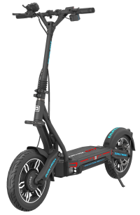 Dualtron City resim
