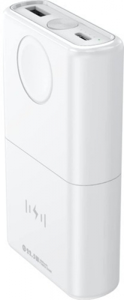 Robor Luxury R722 10000 mAh Powerbank