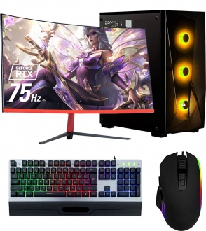 Ramtech Corsair FF201