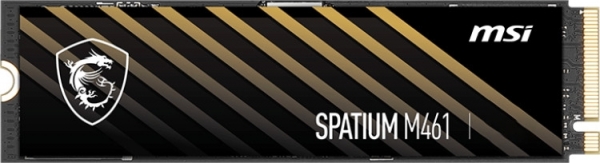 MSI Spatium M461 SSD (2 TB)