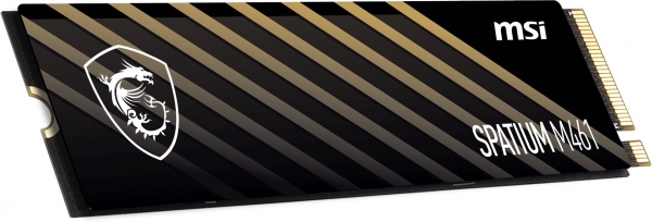 MSI Spatium M461 SSD (2 TB)