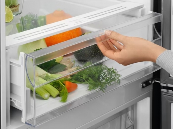 Electrolux LNT5ME32U1 Buzdolabı