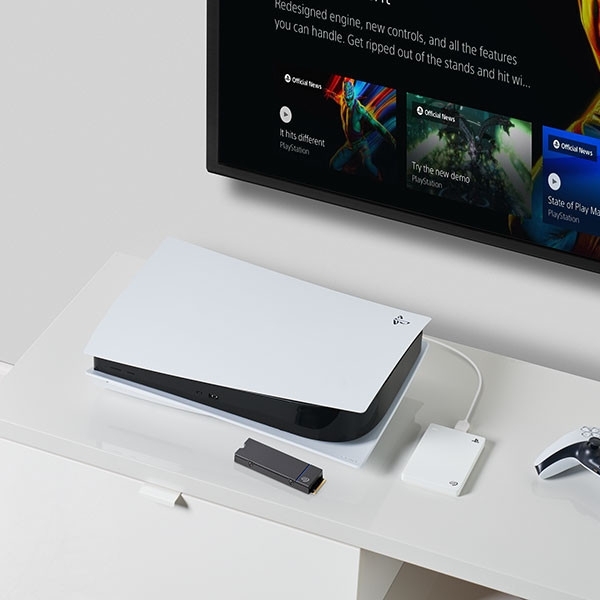 Seagate Game Drive M2 SSD PS5 SSD (4 TB)