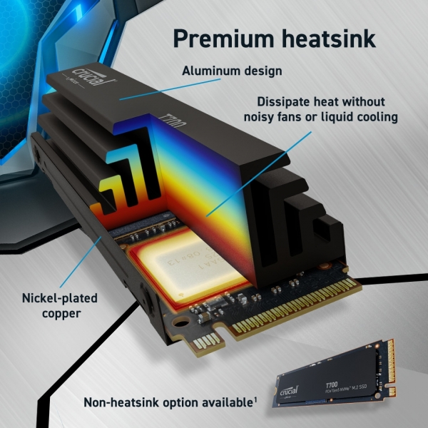 Crucial T700 SSD (1 TB)