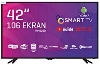 Fenoti FN42250 resim