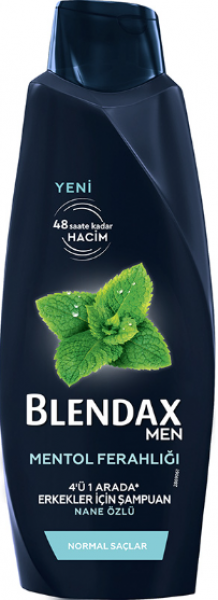 Blendax Mentol Ferahlığı 500 ml Şampuan