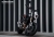 QJ SRV 550 Naked