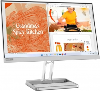 Lenovo L22i-40 Monitör