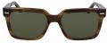 Calvin Klein CK-22535S-317 resim