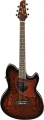 Ibanez Talman TCM50 resim