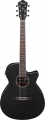 Ibanez AEG7MH resim