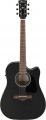 Ibanez AW84CE resim