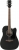Ibanez AW84CE Elektro Akustik Gitar