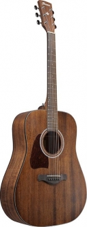 Ibanez AW54L Akustik Gitar