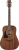 Ibanez AW54L Akustik Gitar