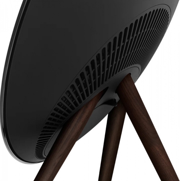 Bang & Olufsen BeoSound A9 Çoklu Oda