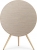 Bang & Olufsen BeoSound A9 Çoklu Oda