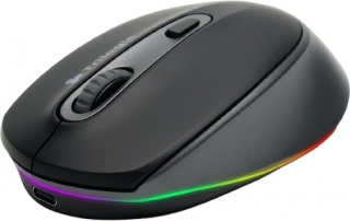 Trilogic M700 Mouse