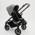 Easywalker Mosey Bebek Arabası