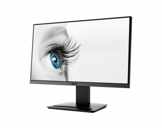 MSI Pro MP223 Monitör