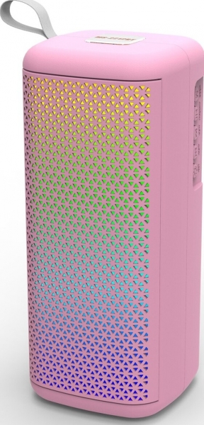 Newface MS-2212BT Bluetooth Hoparlör