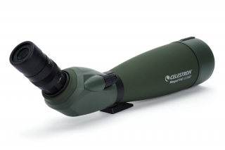 Celestron Regal M2 22-67X100 Tek Göz Dürbün